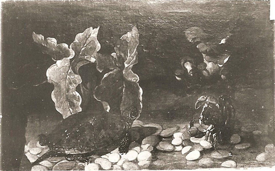 natura morta con tartaruga e funghi (dipinto, serie) - scuola fiamminga (seconda